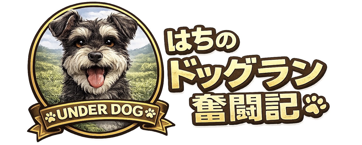 はちのドッグラン奮闘記